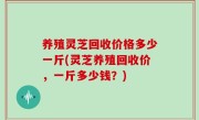养殖灵芝回收价格多少一斤(灵芝养殖回收价，一斤多少钱？)