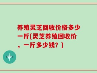 养殖灵芝回收价格多少一斤(灵芝养殖回收价，一斤多少钱？)