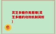 灵芝多糖作用原理(灵芝多糖的功效机制简析)