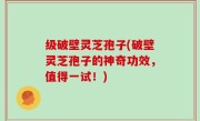 级破壁灵芝孢子(破壁灵芝孢子的神奇功效，值得一试！)