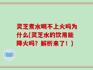灵芝煮水喝不上火吗为什么(灵芝水的饮用能降火吗？解析来了！)