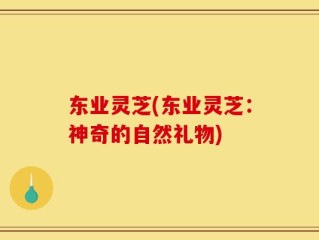 东业灵芝(东业灵芝：神奇的自然礼物)