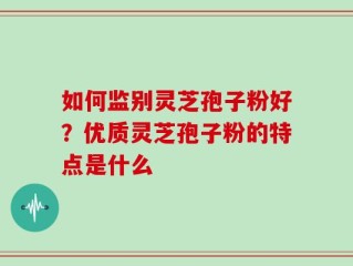 如何监别灵芝孢子粉好？优质灵芝孢子粉的特点是什么