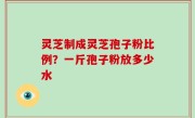 灵芝制成灵芝孢子粉比例？一斤孢子粉放多少水