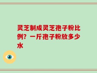灵芝制成灵芝孢子粉比例？一斤孢子粉放多少水