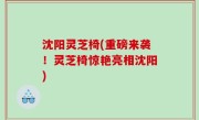 沈阳灵芝椅(重磅来袭！灵芝椅惊艳亮相沈阳)