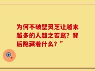 为何不破壁灵芝让越来越多的人趋之若鹜？背后隐藏着什么？”