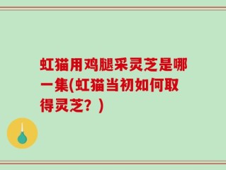 虹猫用鸡腿采灵芝是哪一集(虹猫当初如何取得灵芝？)