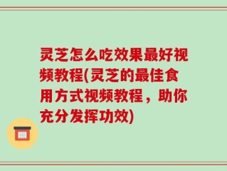 灵芝怎么吃效果最好视频教程(灵芝的最佳食用方式视频教程，助你充分发挥功效)