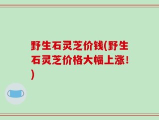野生石灵芝价钱(野生石灵芝价格大幅上涨！)