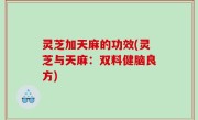 灵芝加天麻的功效(灵芝与天麻：双料健脑良方)