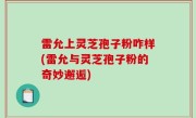 雷允上灵芝孢子粉咋样(雷允与灵芝孢子粉的奇妙邂逅)