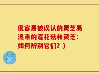 很容易被误认的灵芝易混淆的莲花菇和灵芝：如何辨别它们？)
