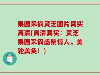 果园采摘灵芝图片真实高清(高清真实：灵芝果园采摘盛景惊人，美轮美奂！)