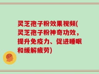灵芝孢子粉效果视频(灵芝孢子粉神奇功效，提升免疫力、促进睡眠和缓解疲劳)