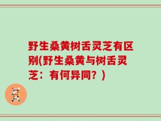 野生桑黄树舌灵芝有区别(野生桑黄与树舌灵芝：有何异同？)