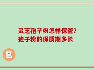 灵芝孢子粉怎样保管？孢子粉的保质期多长