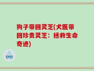 狗子带回灵芝(犬医带回珍贵灵芝：拯救生命奇迹)