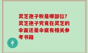 灵芝孢子粉是哪部位？灵芝孢子究竟在灵芝的伞面还是伞底有相关参考书籍