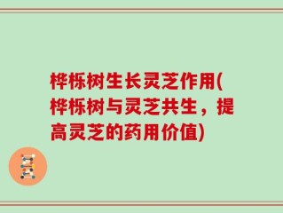 桦栎树生长灵芝作用(桦栎树与灵芝共生，提高灵芝的药用价值)