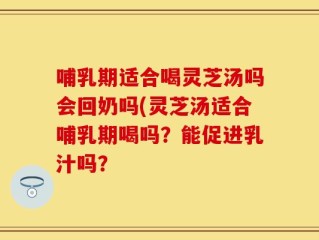 哺乳期适合喝灵芝汤吗会回奶吗(灵芝汤适合哺乳期喝吗？能促进乳汁吗？