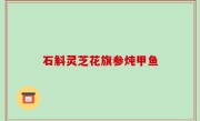 石斛灵芝花旗参炖甲鱼