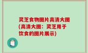 灵芝食物图片高清大图(高清大图：灵芝用于饮食的图片展示)