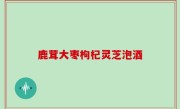 鹿茸大枣枸杞灵芝泡酒