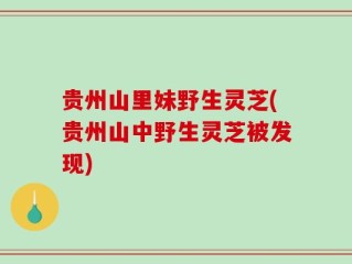 贵州山里妹野生灵芝(贵州山中野生灵芝被发现)