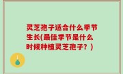 灵芝孢子适合什么季节生长(最佳季节是什么时候种植灵芝孢子？)