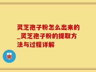 灵芝孢子粉怎么出来的_灵芝孢子粉的提取方法与过程详解