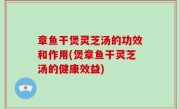 章鱼干煲灵芝汤的功效和作用(煲章鱼干灵芝汤的健康效益)