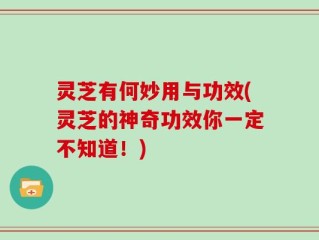 灵芝有何妙用与功效(灵芝的神奇功效你一定不知道！)