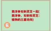 西洋参石斛灵芝一起(西洋参、石斛和灵芝：植物的三重功效)