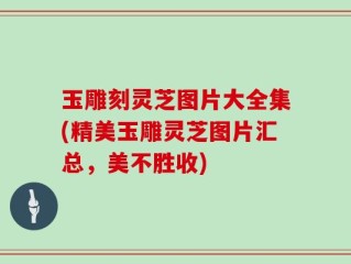 玉雕刻灵芝图片大全集(精美玉雕灵芝图片汇总，美不胜收)