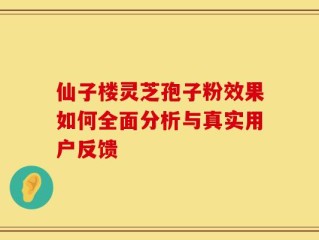 仙子楼灵芝孢子粉效果如何全面分析与真实用户反馈