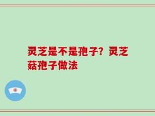 灵芝是不是孢子？灵芝菇孢子做法
