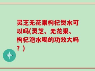 灵芝无花果枸杞煲水可以吗(灵芝、无花果、枸杞泡水喝的功效大吗？)