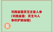 羽西面霜灵芝还是人参(羽西面霜：灵芝与人参的护肤秘籍)