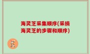 海灵芝采集顺序(采摘海灵芝的步骤和顺序)