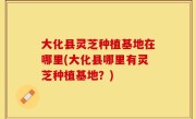 大化县灵芝种植基地在哪里(大化县哪里有灵芝种植基地？)