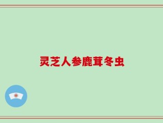灵芝人参鹿茸冬虫