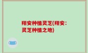 翔安种植灵芝(翔安：灵芝种植之地)