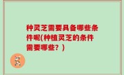 种灵芝需要具备哪些条件呢(种植灵芝的条件需要哪些？)