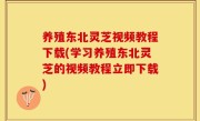 养殖东北灵芝视频教程下载(学习养殖东北灵芝的视频教程立即下载)