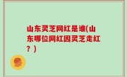 山东灵芝网红是谁(山东哪位网红因灵芝走红？)