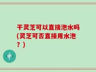 干灵芝可以直接泡水吗(灵芝可否直接用水泡？)