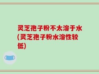 灵芝孢子粉不太溶于水(灵芝孢子粉水溶性较低)