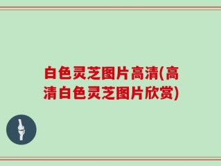 白色灵芝图片高清(高清白色灵芝图片欣赏)