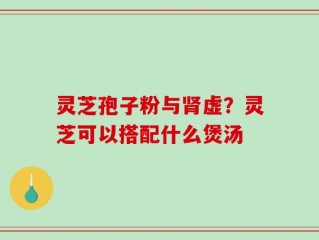 灵芝孢子粉与肾虚？灵芝可以搭配什么煲汤